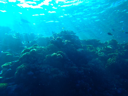 underwaterの写真素材