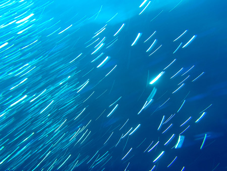 underwaterの写真素材