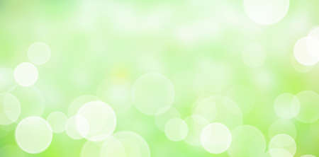 Unfocused forest texture with lights, a beautiful natural art from the summer. Free space for text. Head banner conceptの写真素材