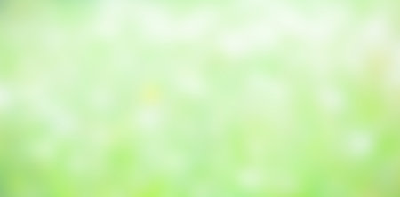 Unfocused forest texture with lights, a beautiful natural art from the summer. Free space for text. Head banner conceptの写真素材