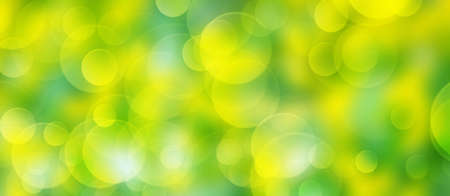 Unfocused meadow texture with lights and bubbles,  a beautiful natural bokeh art from the summer.  Free space for text. Head banner conceptの写真素材