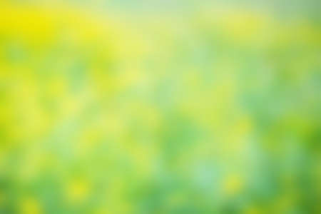Unfocused sun texture with blur,  a beautiful natural art from the summer.  Free space for text. Head banner conceptの写真素材