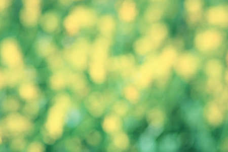 Yellow and green colours. Blur.  free space for design.  Head banner concept. Background for your designの写真素材
