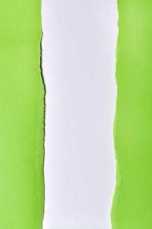 Torn paper with space for text with white backgroundの写真素材