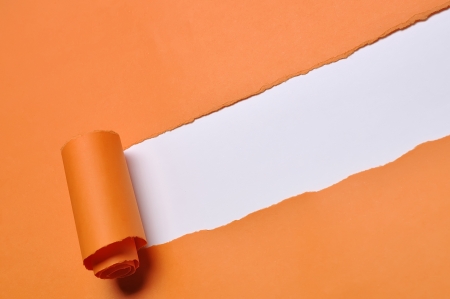 Torn paper with space for text with white backgroundの写真素材
