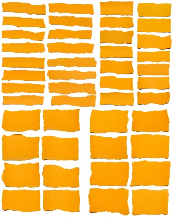 Set of torn yellow paper isolated over white background with soft shadowの写真素材