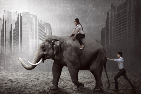 Asian business man push elephant while his friend sit on it backの写真素材
