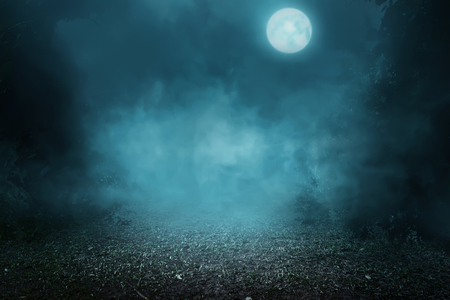 Spooky foggy forest on the moonlightの写真素材