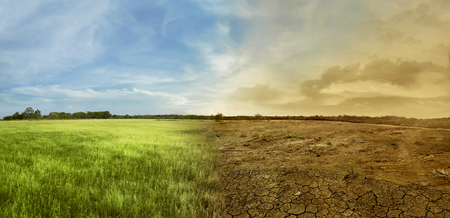 Landscape of meadow field with the changing environment concept of climate changeの写真素材