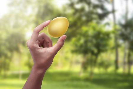 People hand holding golden easter egg on the fieldの写真素材