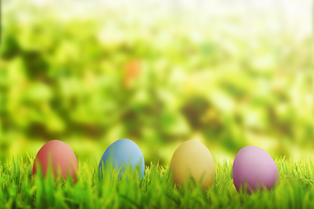 Row of easter eggs on green grass in the fieldの写真素材