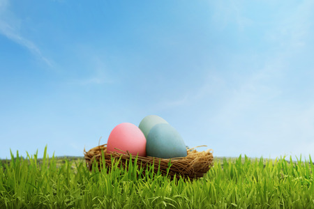 Colorful easter eggs in basket on meadowの写真素材