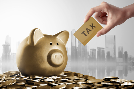 Piggy bank with Tax card sign over gold coin backgroundの写真素材