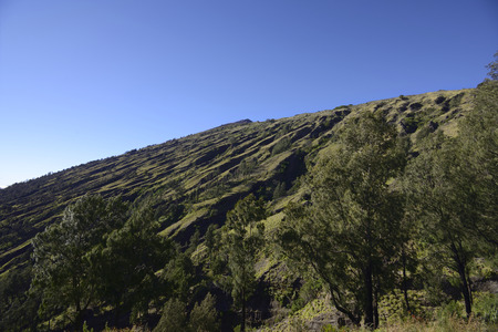 Scenery arround hiking trails to peak of Mount Rinjani. Lombok, Indonesia.の写真素材
