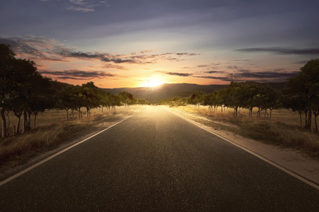 Asphalt road among meadow field with trees on sunset timeの写真素材