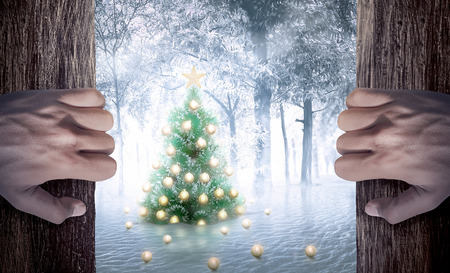 Man hand open the door looking christmas tree on snowy forestsの写真素材