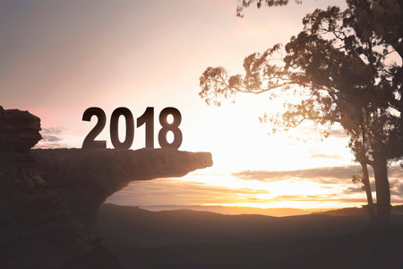 2018 number standing on the edge of cliff with trees at sunset background