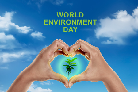 Hands with heart shape with green leaf inside it. World environment day conceptの写真素材