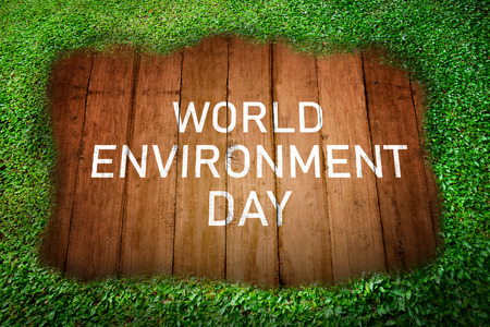 World environment day message on wooden plank with green grass backgroundの写真素材