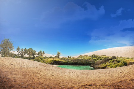 Beautiful oasis in the desert with blue sky backgroundの写真素材
