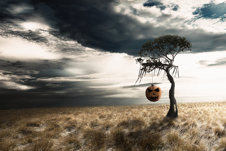 Pumpkin hanging on the dead tree in grassland with dark sky backgroundの写真素材