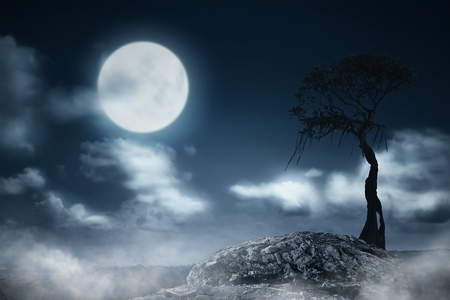 Foggy night with tree and moonlight. Halloween backgroundの写真素材