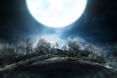 Foggy mountain with green forest at nightの写真素材