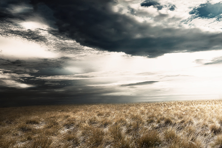 Grassland with dark cloudscape on the skyの写真素材