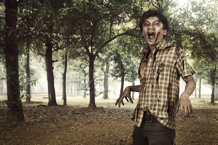 Spooky zombie man hang around on the misty forest. Halloween conceptの写真素材