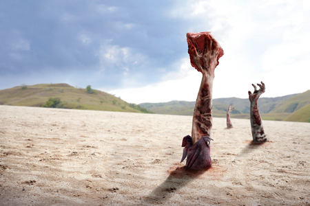 Dirty hands of zombies with claw rising from the ground on dayの写真素材