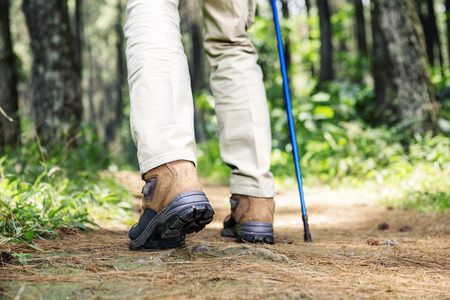 Hiker man with boots and trekking pole walking on the forestの写真素材