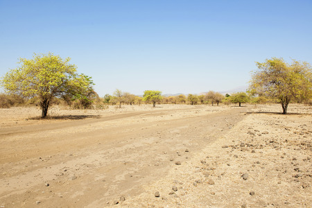 Landscape view of Savanna on Doro Ncanga. Sumbawa, Indonesiaの写真素材