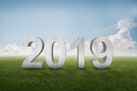 Number 2019 standing on green grass. Happy New Year 2019の写真素材