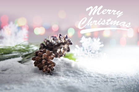 Pine cone and leaf on the snow. Merry Christmasの写真素材