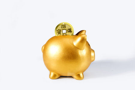 Piggy bank and golden coins isolated over white background. Chinese New Years. Year of the earth pigの写真素材
