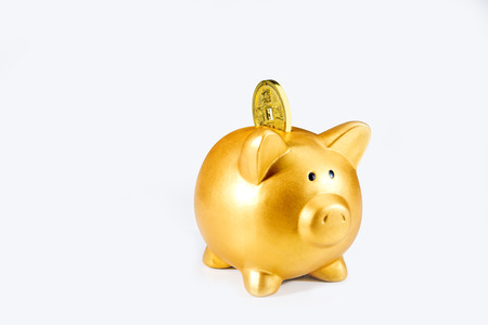 Piggy bank and golden coins isolated over white background. Chinese New Years. Year of the earth pigの写真素材
