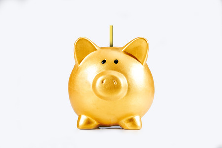 Piggy bank and golden coins isolated over white background. Chinese New Years. Year of the earth pigの写真素材
