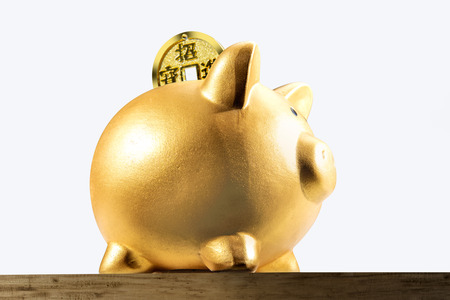 Piggy bank and golden coins on wooden table isolated over white background. Chinese New Years. Year of the earth pigの写真素材