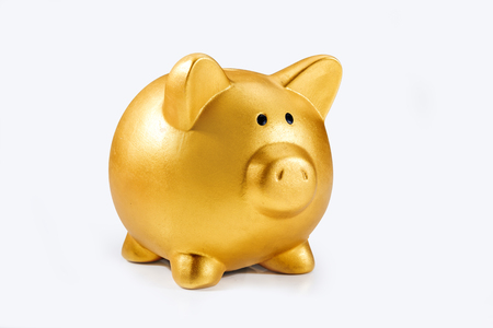 Piggy bank isolated over white background. Chinese New Year. Year of the earth pigの写真素材