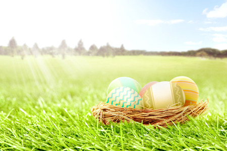 Colorful easter eggs in the nest on the grass field with trees and blue sky background. Happy Easterの写真素材