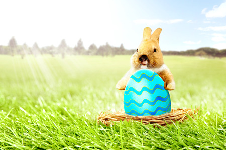 Little bunny holding colorful easter egg in the nest on the grass field with trees and blue sky background. Happy Easterの写真素材