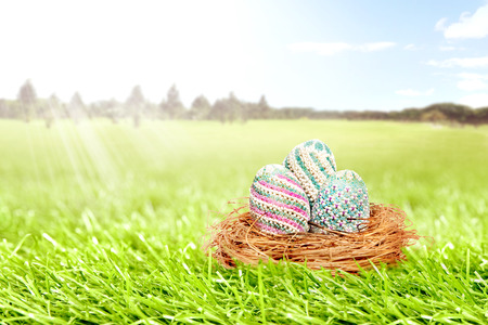 Colorful easter eggs in the nest on grass field with trees and blue sky background. Happy Easterの写真素材