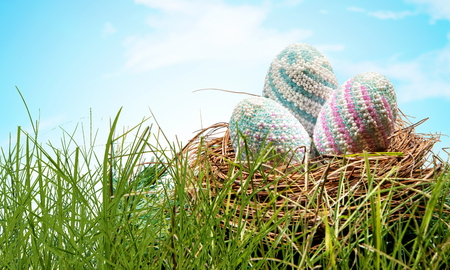 Colorful easter eggs in the nest on the green grass with blue sky background. Happy Easterの写真素材