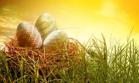 Colorful easter eggs in the nest on the green grass with sunrise background. Happy Easterの写真素材