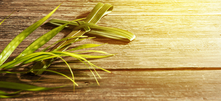 Closeup view of cross shape of palm leaf and palm branches with ray in wooden background. Palm Sunday conceptの写真素材