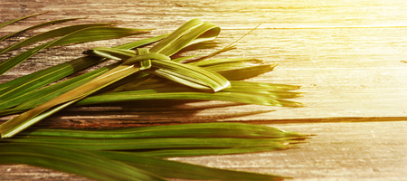 Closeup view of cross shape of palm leaf and palm branches with ray in wooden background. Palm Sunday conceptの写真素材