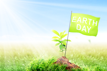 Young plant and small pole with green flag with Earth day message on fertile soil in meadow with sunlight and blue sky background. Earth day conceptの写真素材