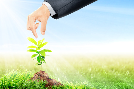 Hand of businessman planting young plant on fertile soil in meadow with sunlight and blue sky background. Earth day conceptの写真素材