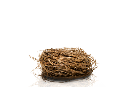 Empty nest isolated over white backgroundの写真素材