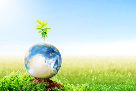 Earth with growing plant on fertile soil in meadow with sunlight and blue sky background. Earth day conceptの写真素材